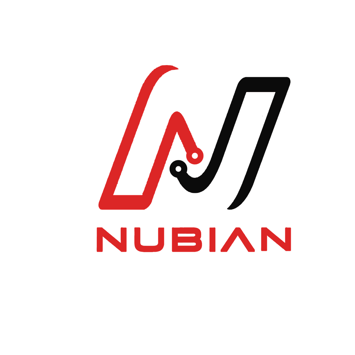 Nubian Networks Logo
